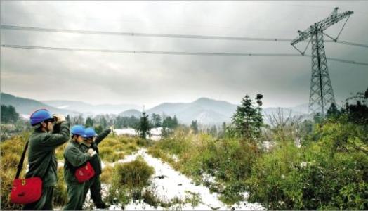 u=4135347936,3259090955&fm=27&gp=0.jpg u=4135347936,3259090955&fm=27&gp=0.jpg