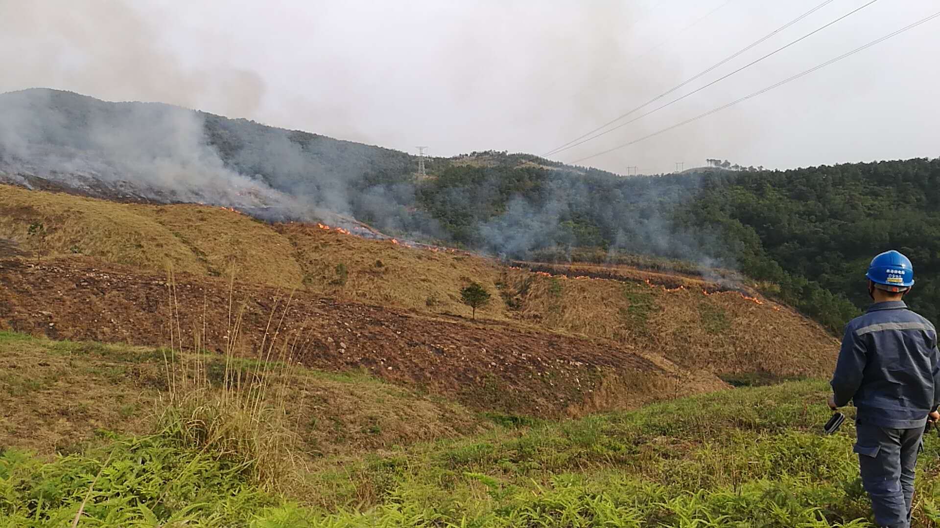 線路山火隱患紅外及可視化在線監測裝置 線路山火隱患紅外及可視化在線監測裝置